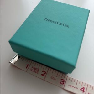 Tiffany & Co. Turquoise Gift Box